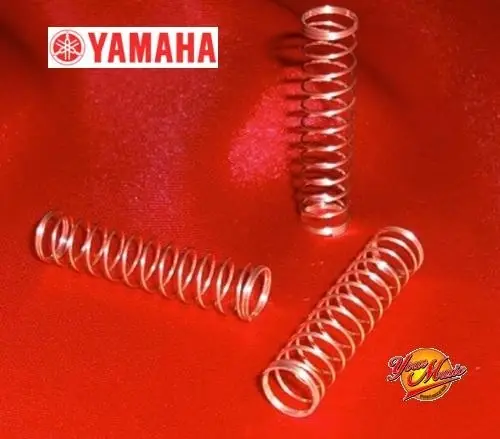 Compra Adesso Yamaha Molla Pistoni Tromba - Cornetta - Flicorno