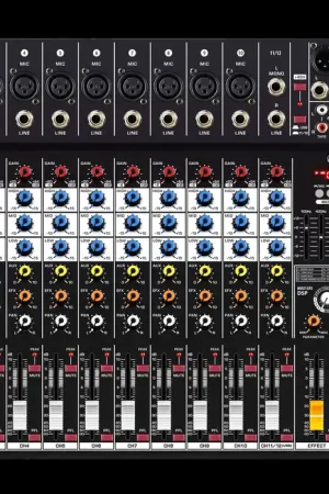 ITALIAN STAGE IS 2MIX12PRO Professionale