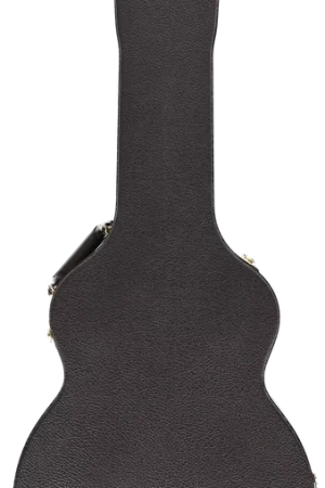 Taylor Case GA Brown Grand Auditorium Di Tendenza