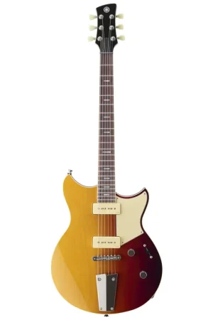 Yamaha Revstar RSP02T Professional SSB Occasione
