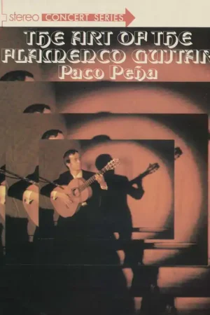 +The Art Of Flamenco Guitar Affare